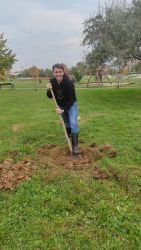 divadelny strom ruky velkosti orecha