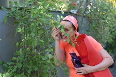 nitriansky montmartre