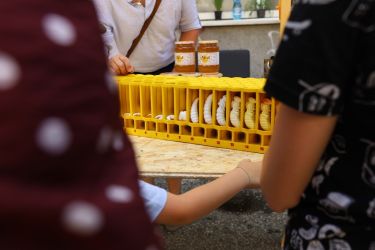 nitriansky montmartre