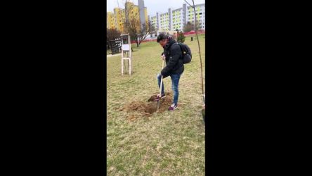 divadelny strom zasadeny k